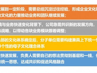 企業文化共創工作坊